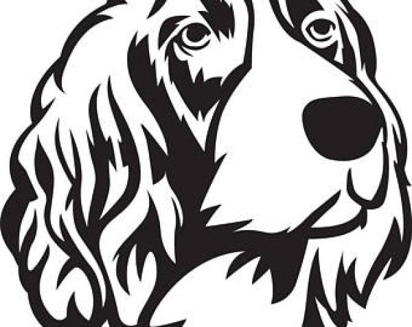 preview Spaniel svg