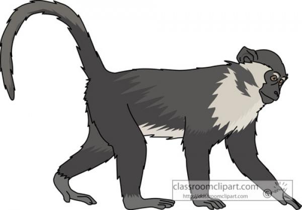 preview Spider Monkey clipart