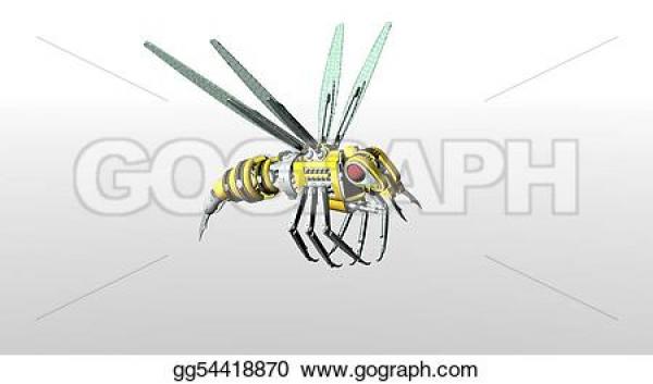 Spider Wasp clipart