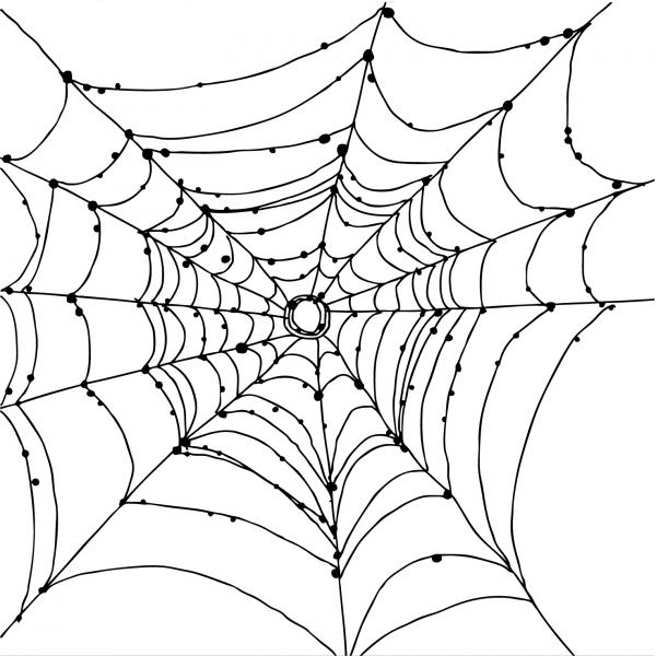 preview Spider Web coloring