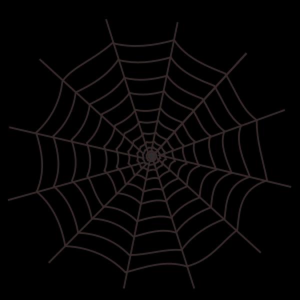 preview Spider Web svg