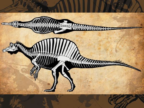 Spinosaurus svg