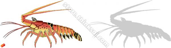 preview Spiny Lobster clipart