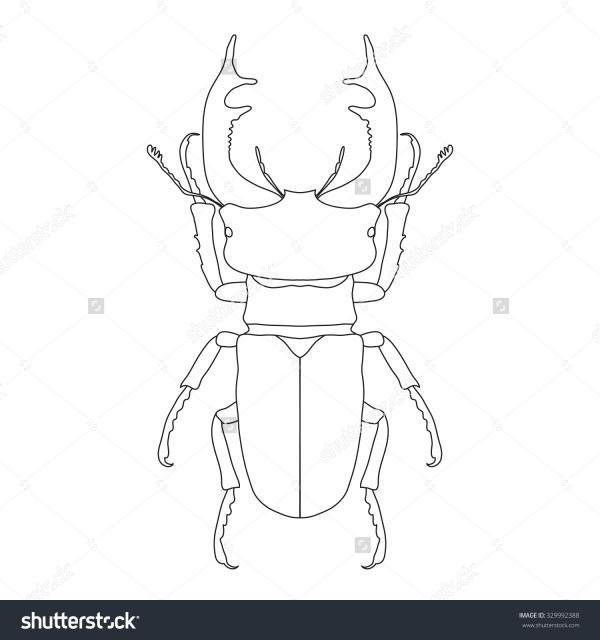 Stag Beetle coloring
