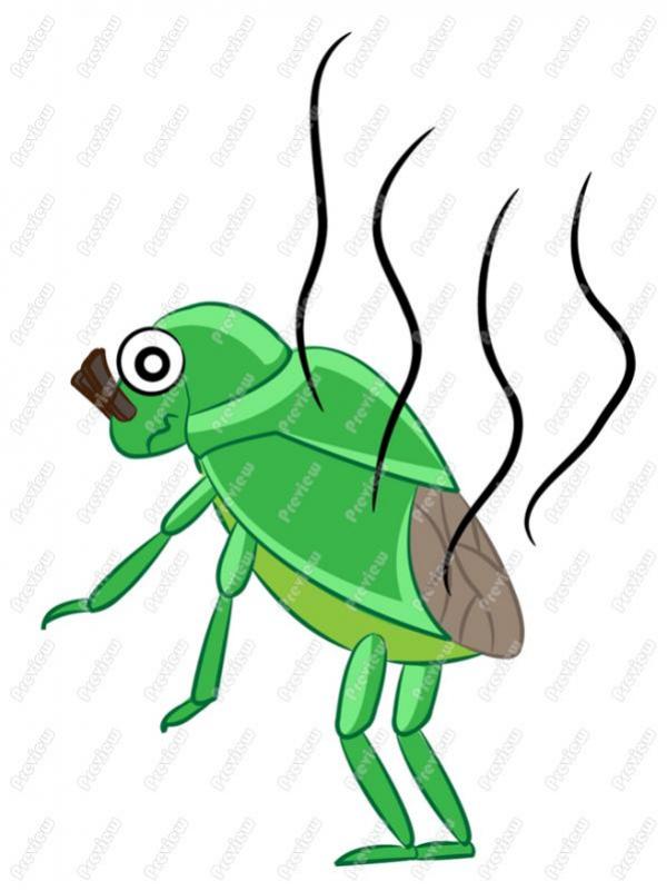 preview Stink Bug clipart