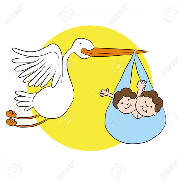 Stork clipart