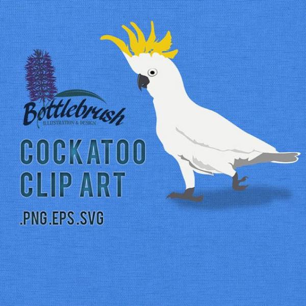 preview Sulphur-crested Cockatoo clipart