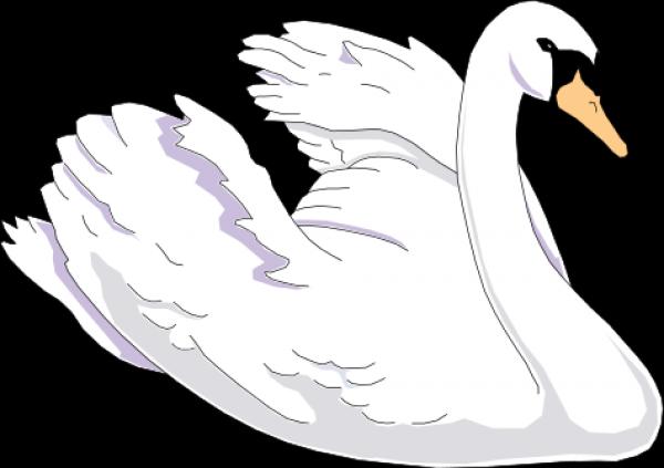 preview Swan clipart