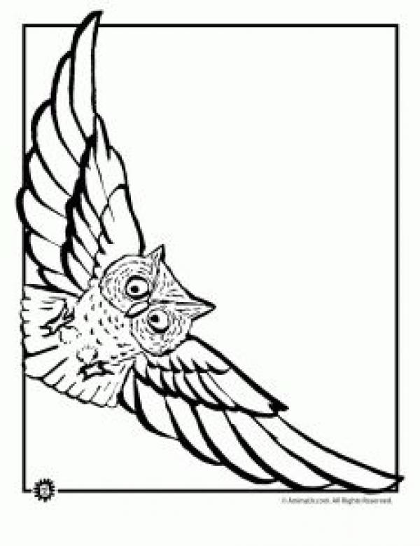 Swooping coloring