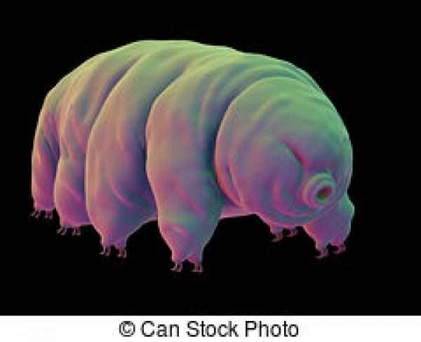preview Tardigrade clipart