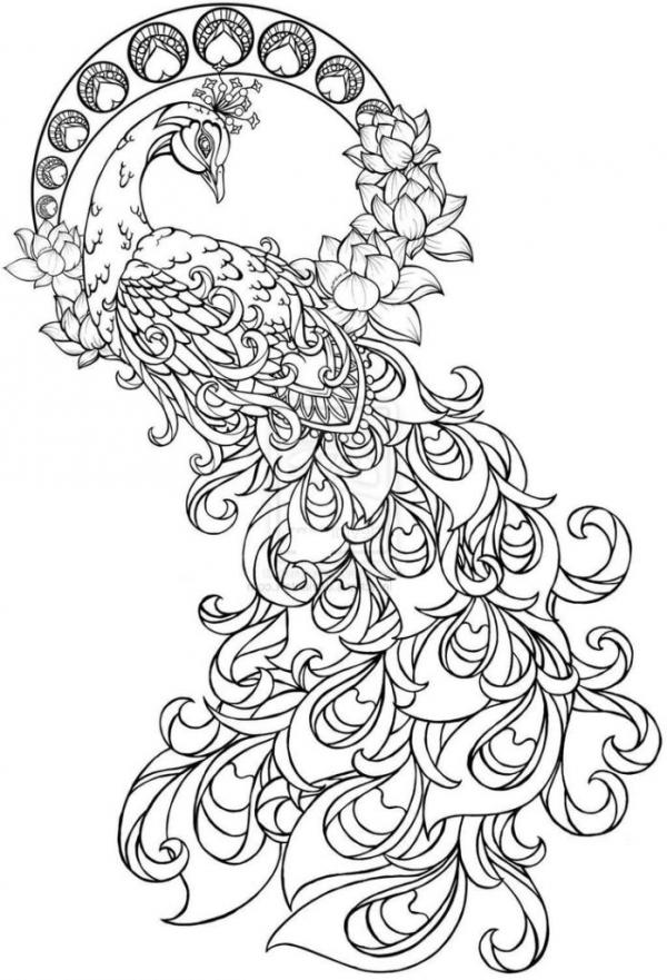 preview Tattoo coloring