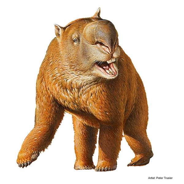 preview The Diprotodon coloring