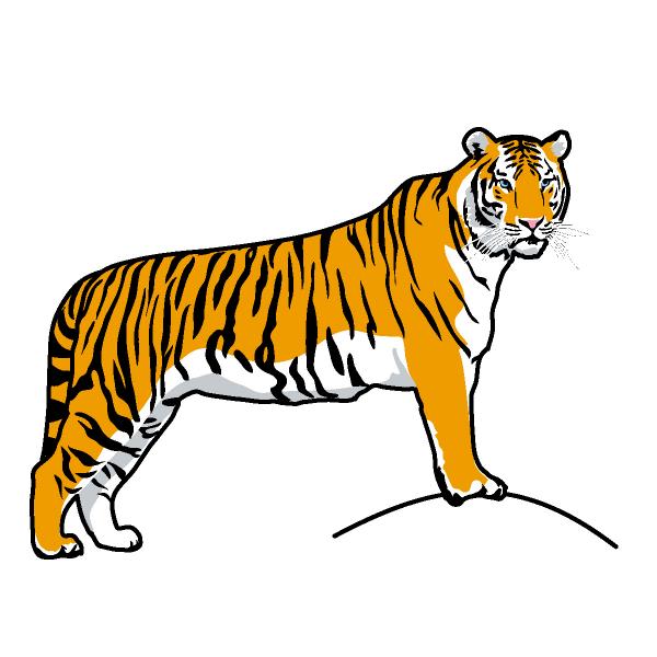 preview Tiger clipart