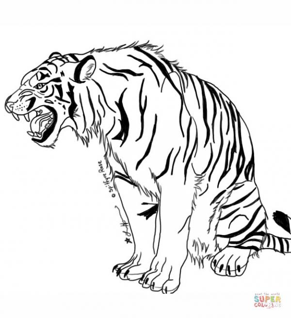 preview Tiger coloring