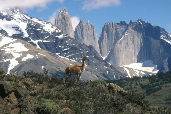 preview Torres Del Paine National Park clipart