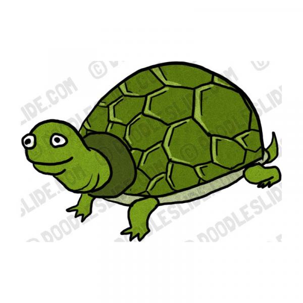 preview Tortoise clipart