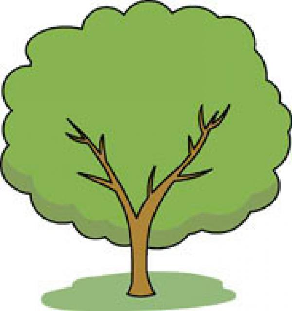 preview Tree clipart
