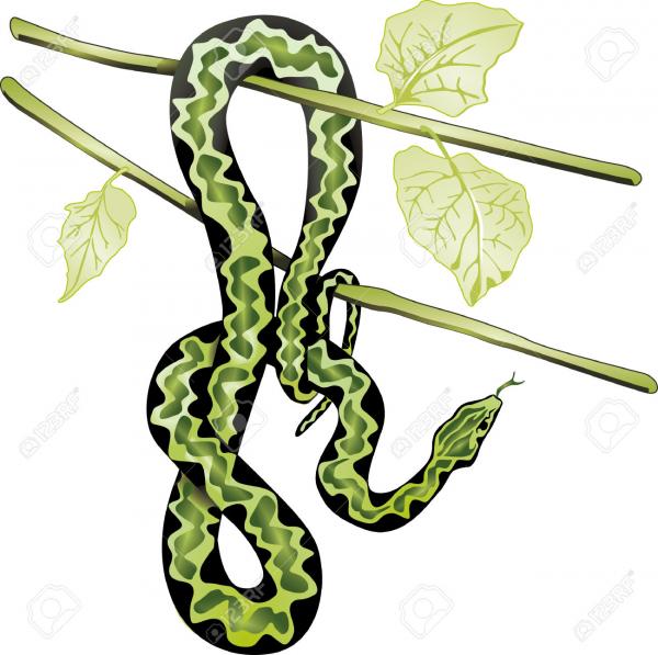 preview Tree Python clipart