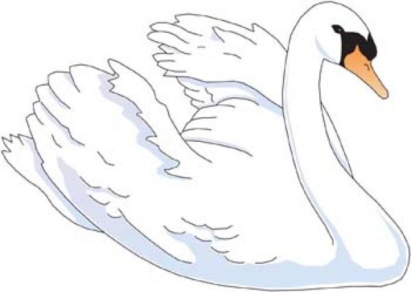 preview Trumpeter Swan clipart