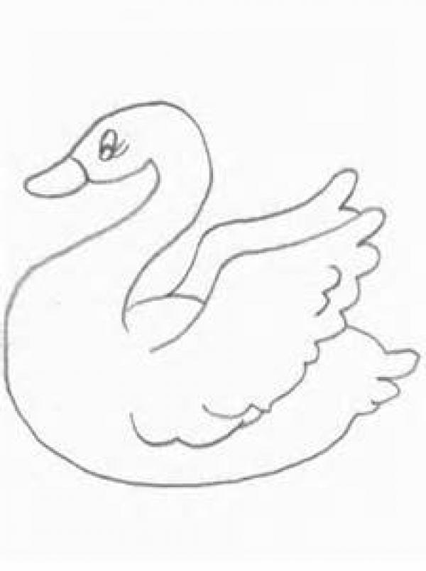preview Trumpeter Swan coloring