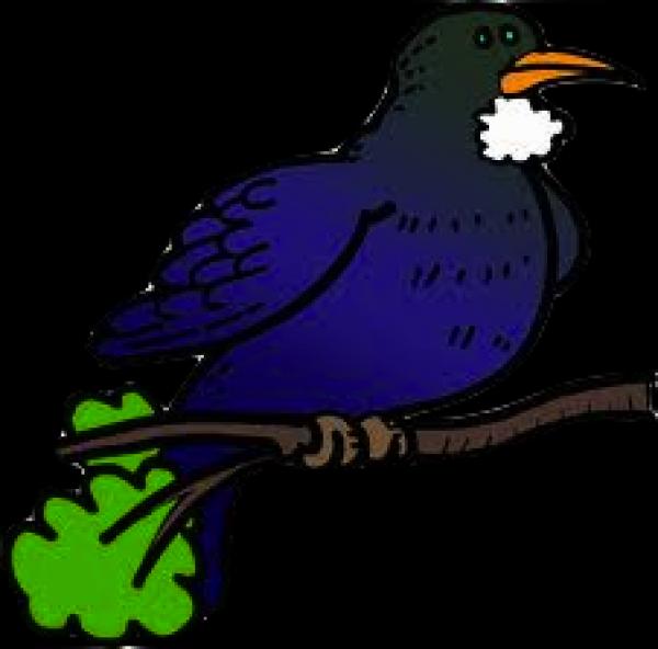 preview Tui clipart