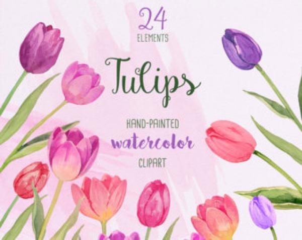 preview Tulip clipart