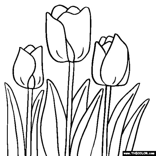 preview Tulip coloring