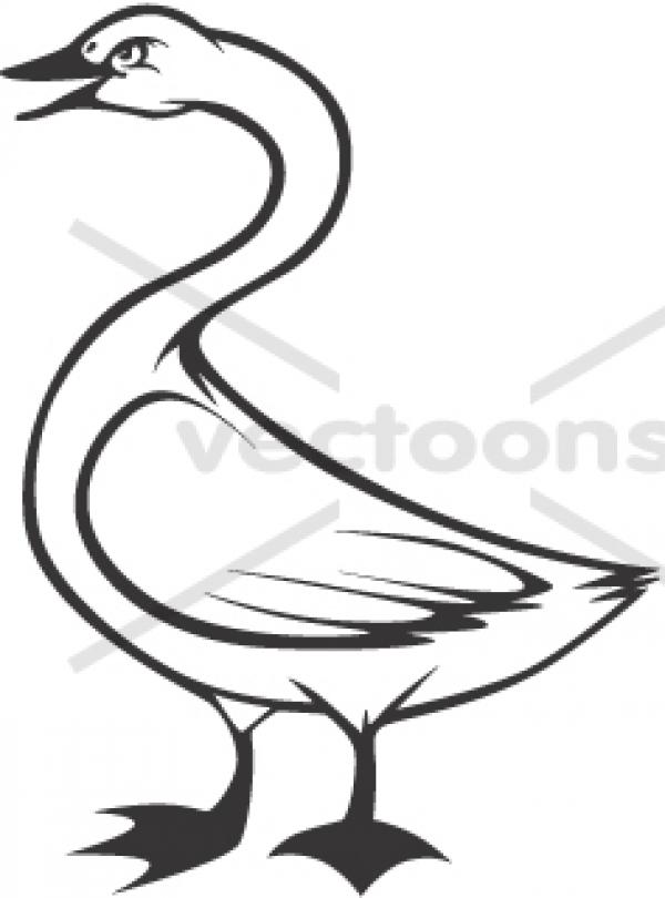 preview Tundra Swan clipart
