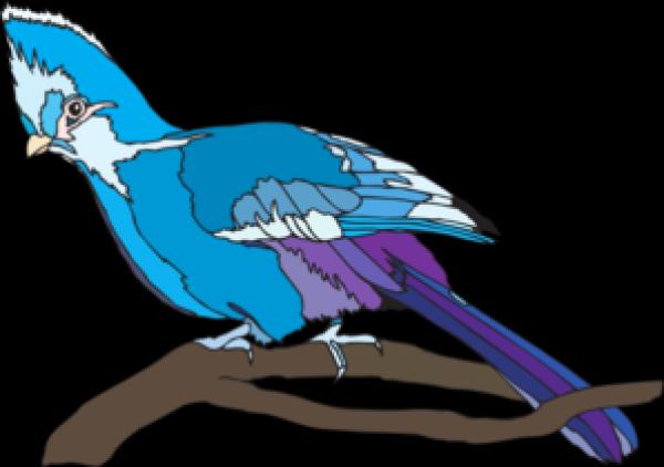 preview Turaco clipart