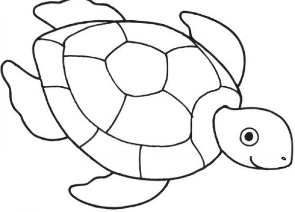 preview Turtle coloring