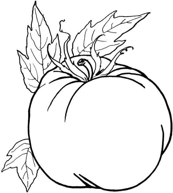 preview Vegetable coloring