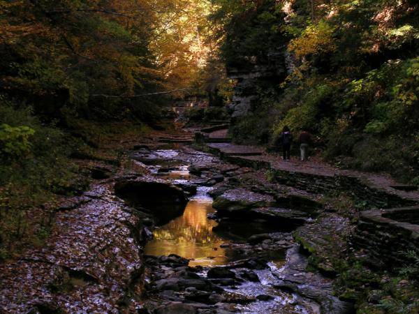 preview Watkin Glens State Park coloring