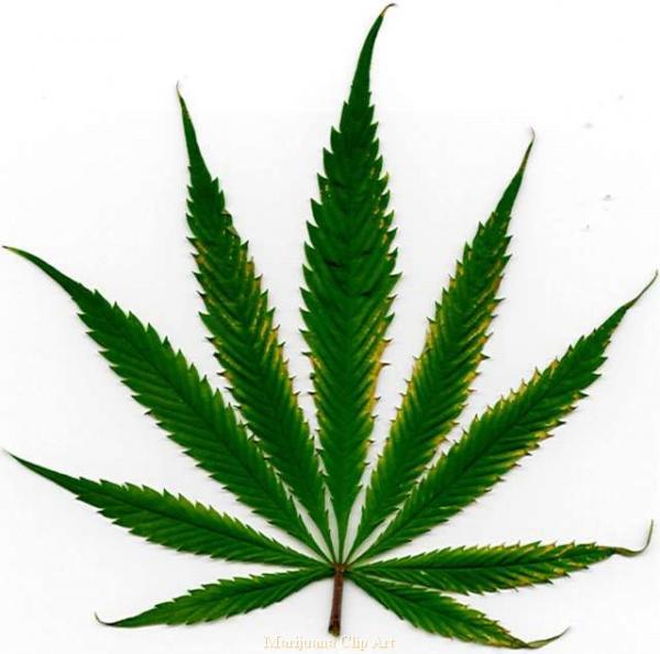 preview Weed clipart