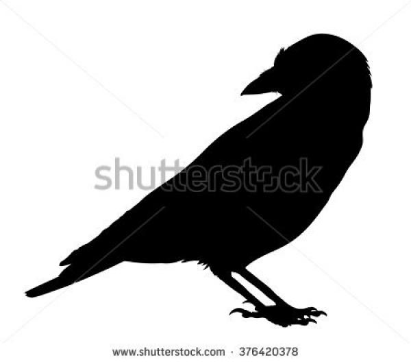 preview Western Jackdaw clipart