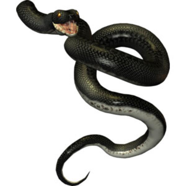 preview Whip Snake clipart