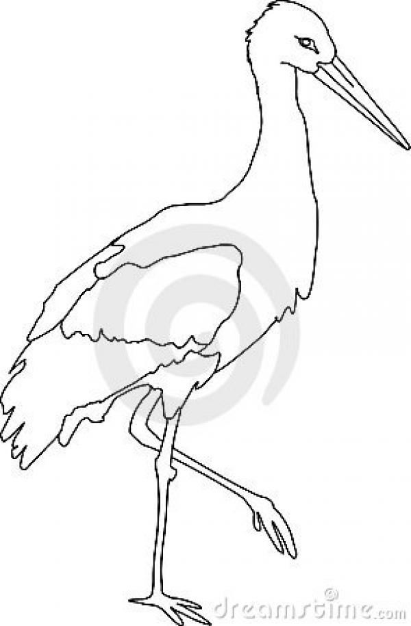 preview White Stork clipart