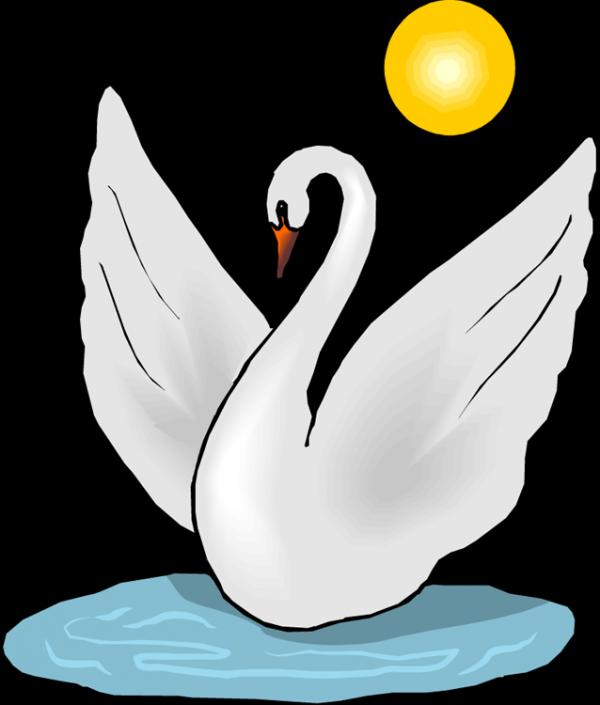 Whooper Swan clipart