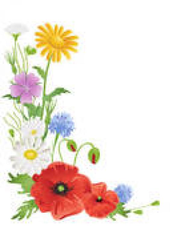 preview Wildflower clipart