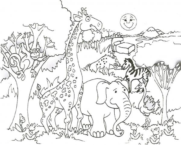 preview Wildlife coloring