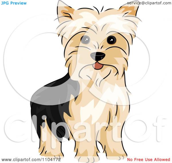 preview Yorkshire Terrier clipart