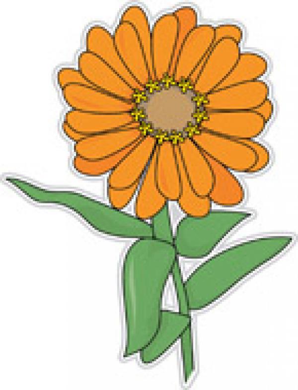 preview Zinnia clipart
